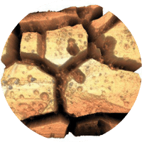Biomaterials